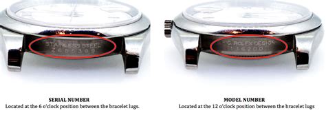 rolex service case numbers|Rolex value by serial number.